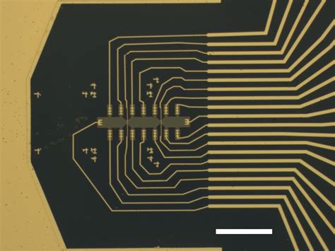  Strontium Titanate: Uma Revolução Silenciosa na Eficiência de Dispositivos Optoeletrônicos!