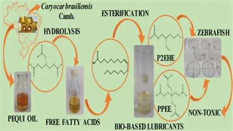  Pequi Oil: Versatility for Biodiesel and Sustainable Skincare Solutions!